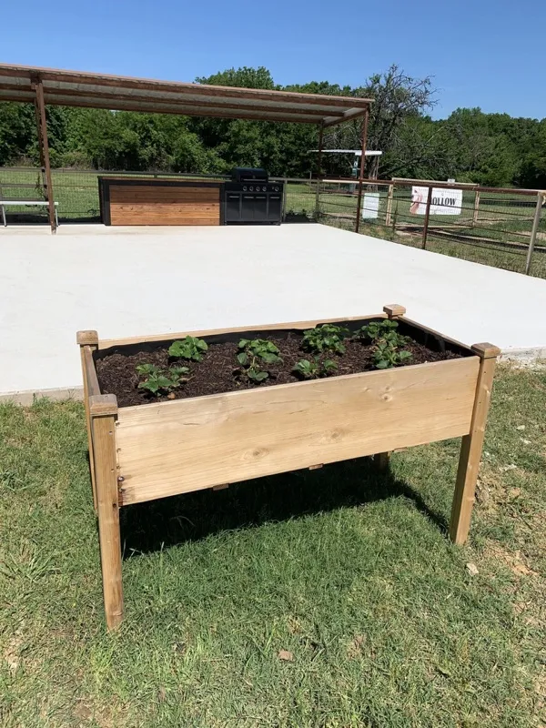 Raised beds in the community garden at Waggin' Tail Ranch RV Resort in Pilot Point, TX