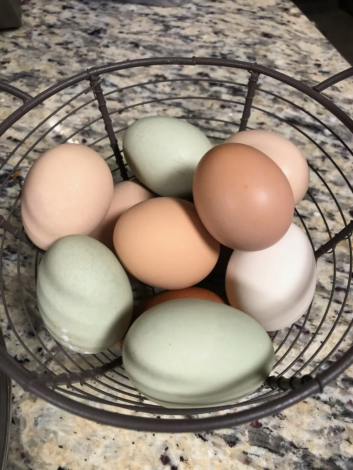 A basket of farm-fresh eggs in blues, greens, and browns at Waggin' Tail Ranch RV Resort, Pilot Point, TX