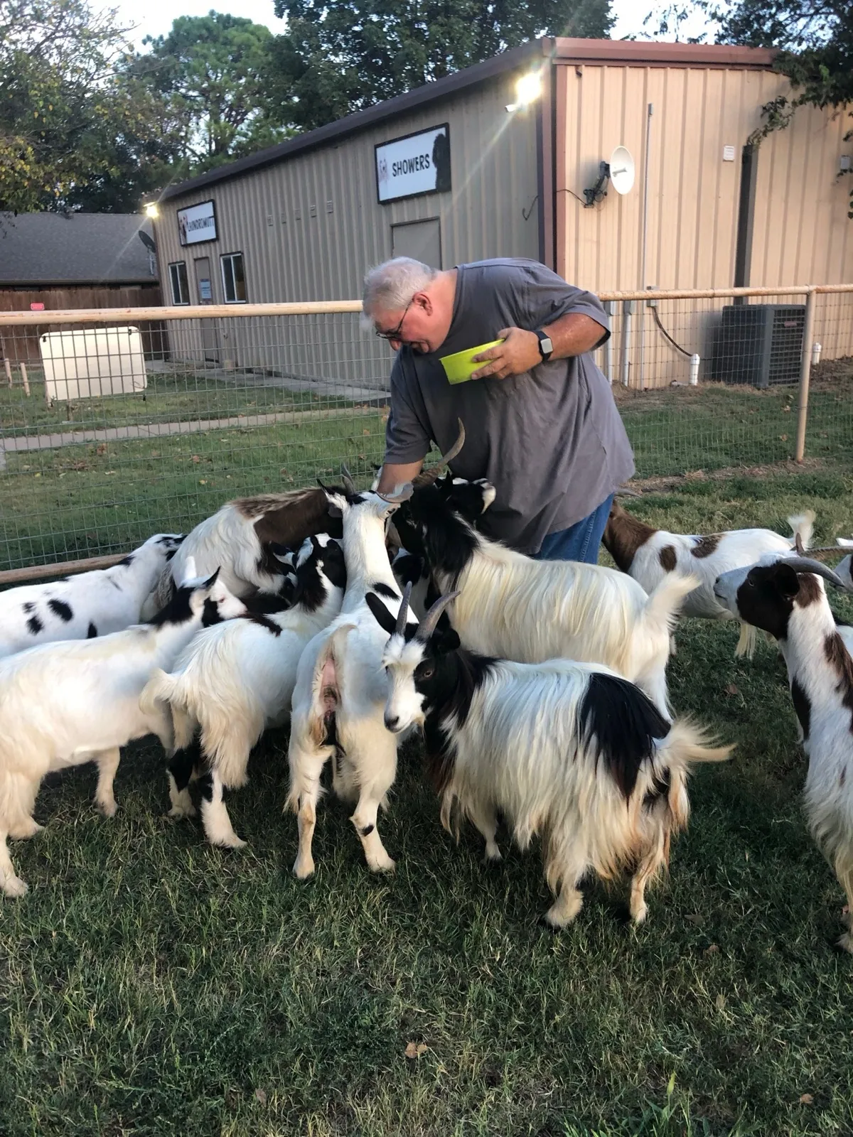 The owner feeding the goat herd at Waggin' Tail Ranch RV Resort in Pilot Point, TX