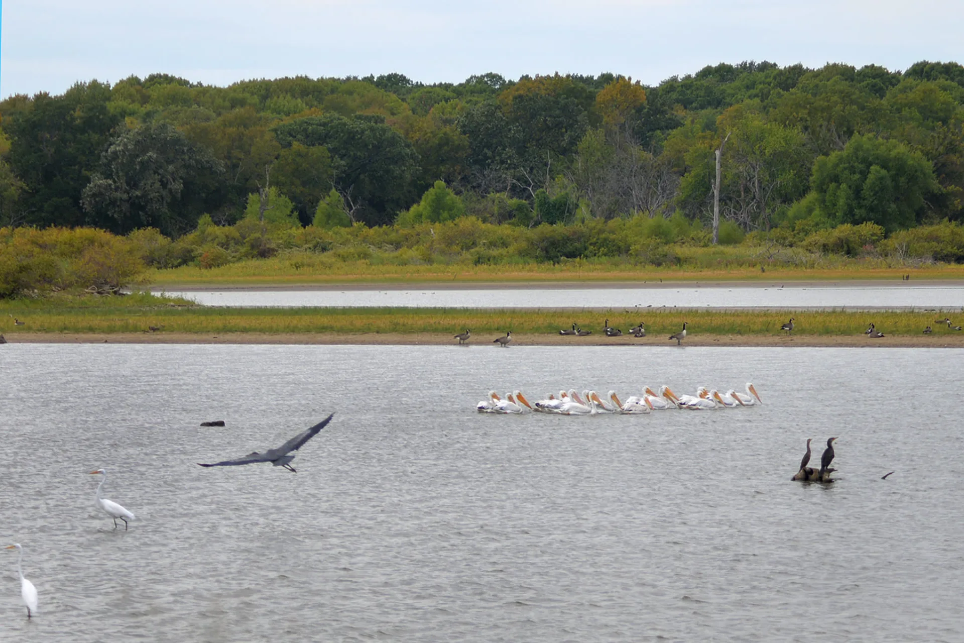 Hagerman NWR