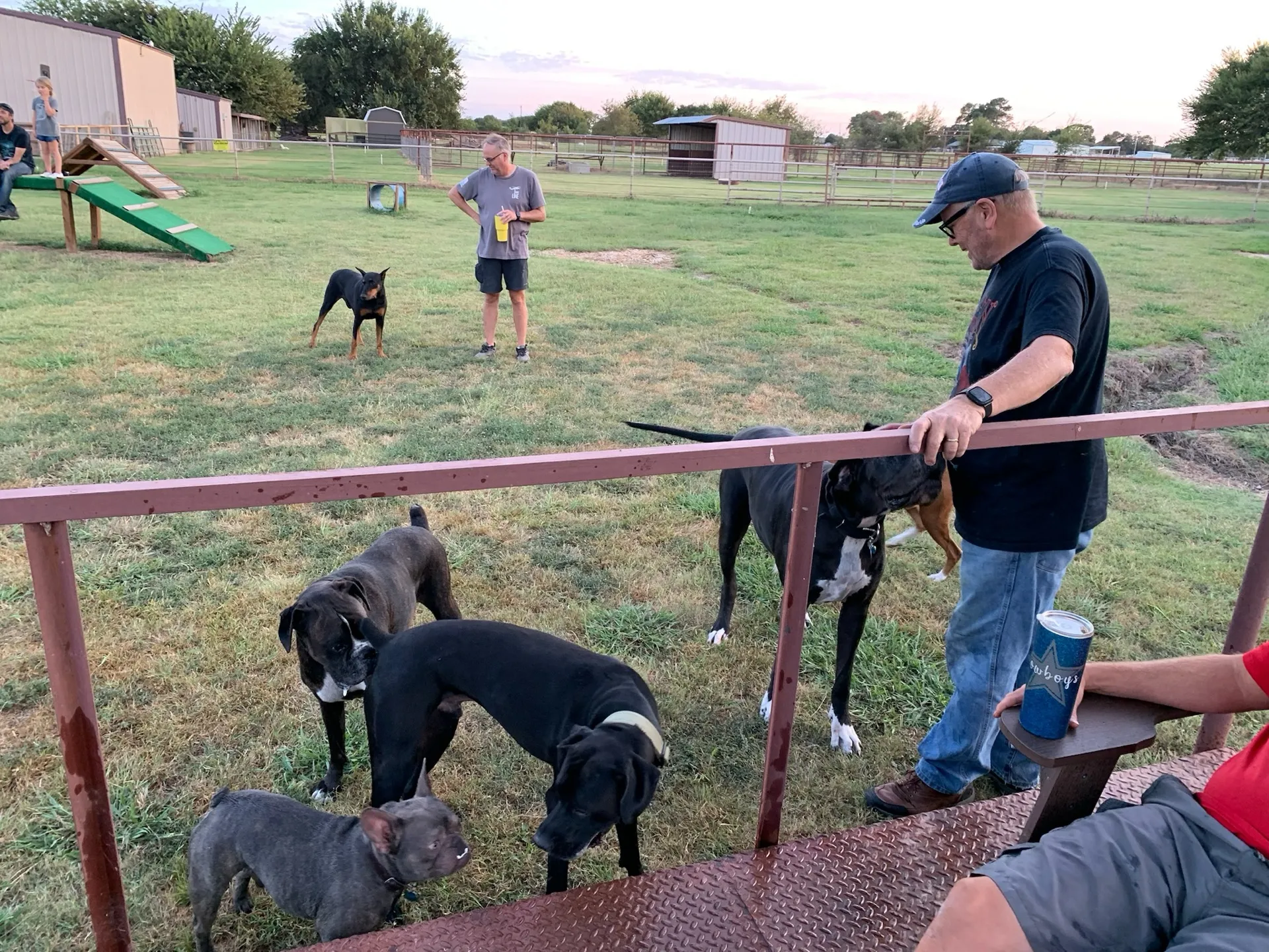 Guests and their dogs gathered at the dog park · Waggin' Tail Ranch RV Resort, Pilot Point, Texas