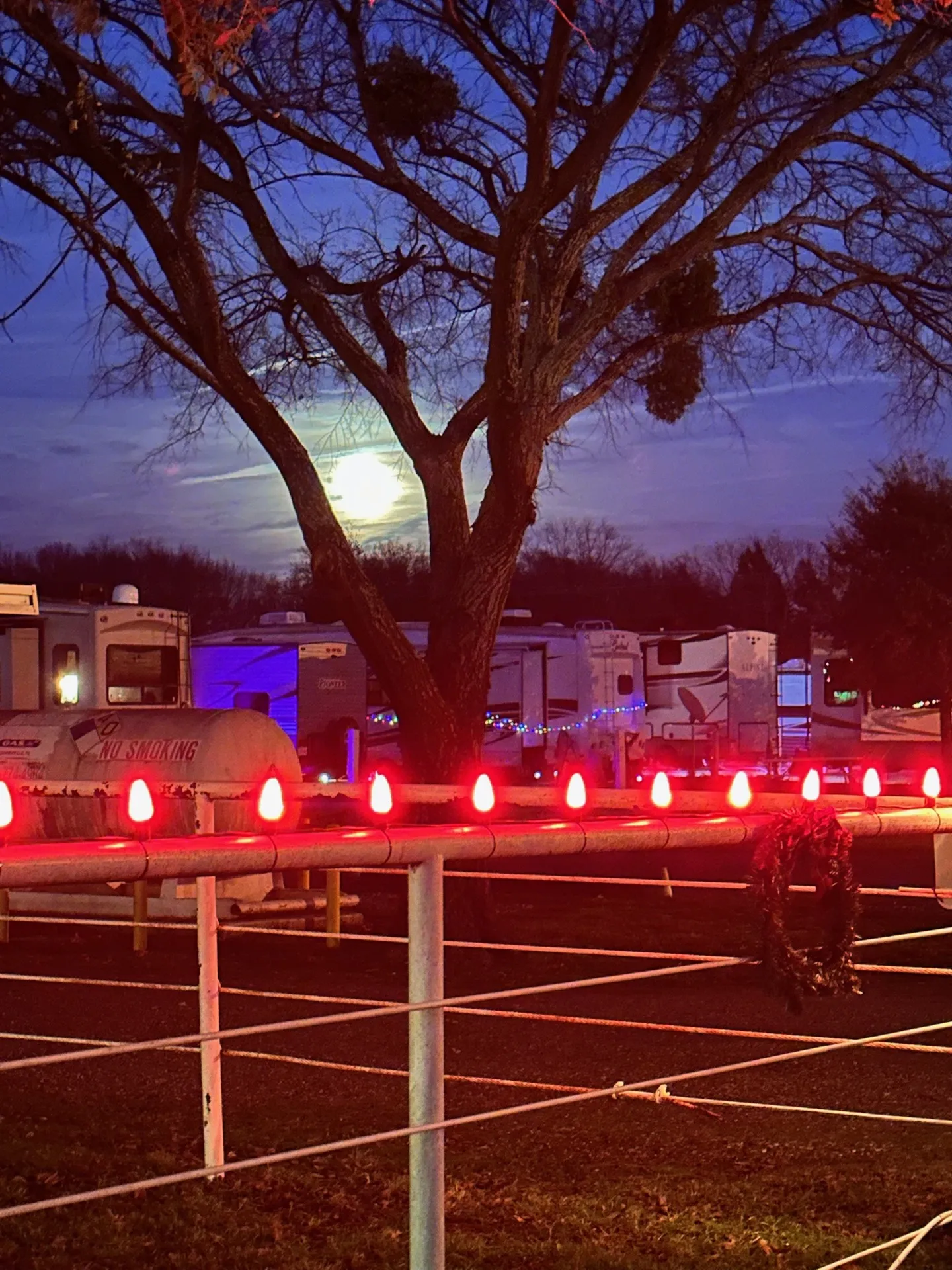 Holiday lights glowing across the resort at night · Waggin' Tail Ranch RV Resort, Pilot Point, Texas