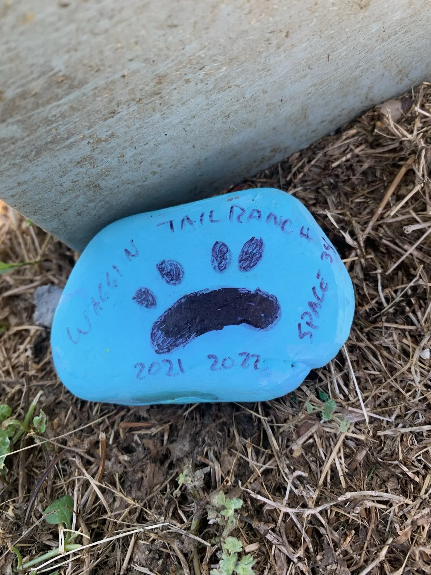 A hand-painted paw print rock left by a guest · Waggin' Tail Ranch RV Resort, Pilot Point, Texas
