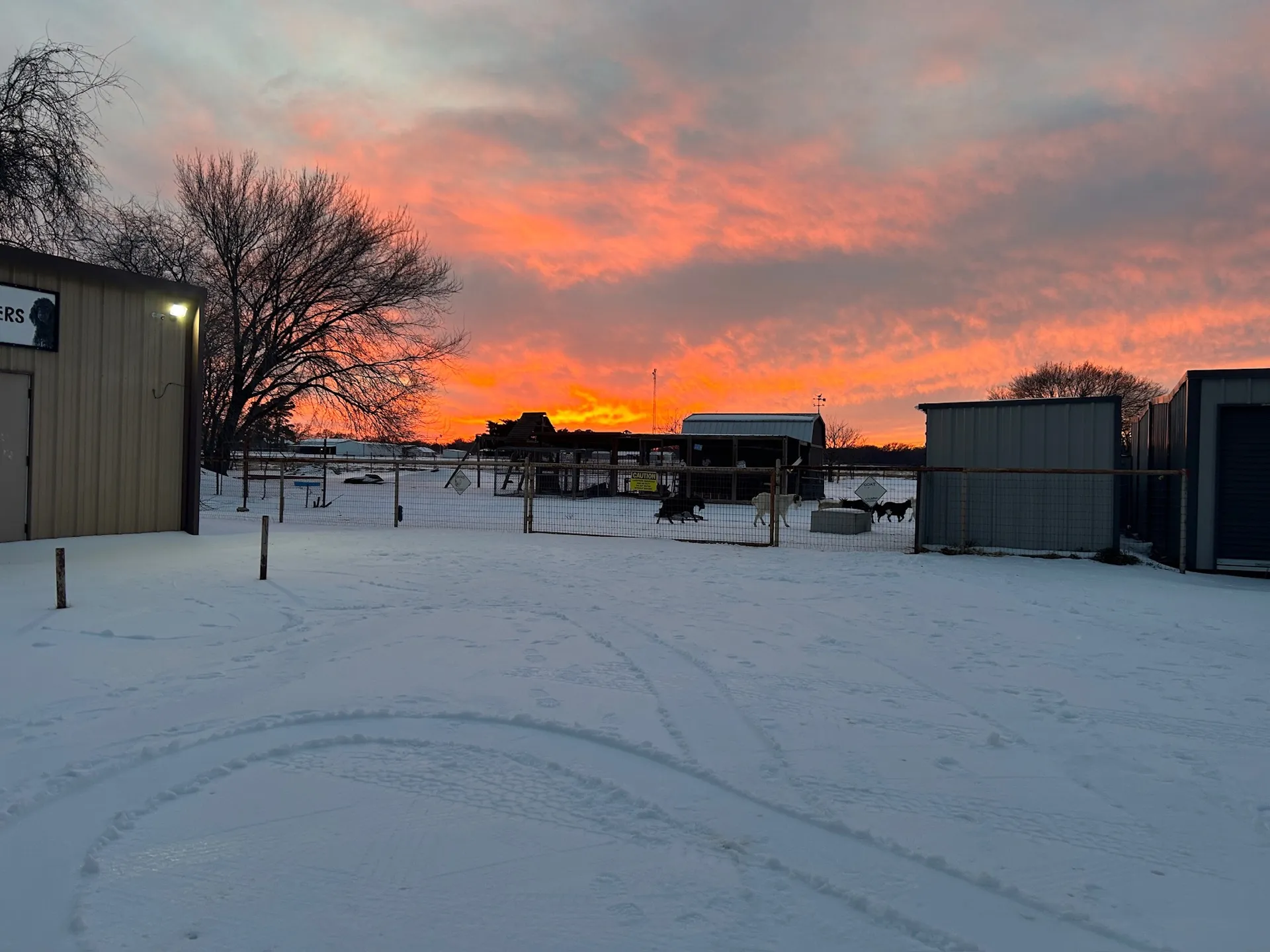 A rare snowy sunrise at the ranch · Waggin' Tail Ranch RV Resort, Pilot Point, Texas